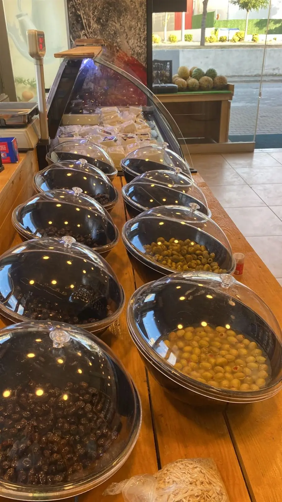 Kapaklı kaselerde siyah ve yeşil zeytin çeşitleri